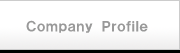 Company Profile Company Profile